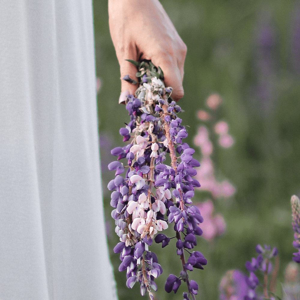 o que significa beleza vegana?