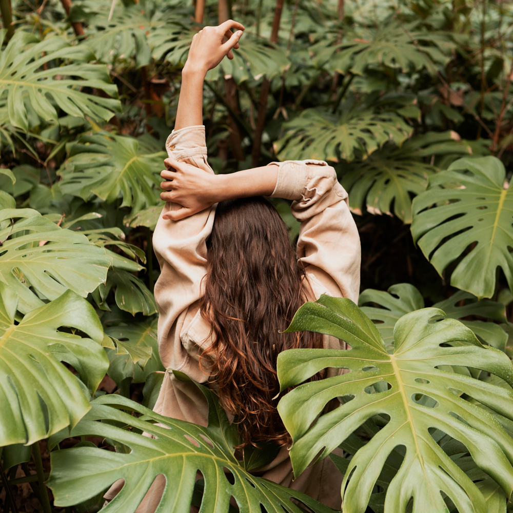 ingredientes naturais em cosméticos capilares