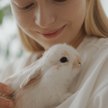 cruelty Free: saiba mais sobre este termo tão&nbsp;importante